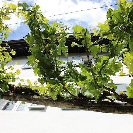 Weingut Pardellerhof Villa Marling Buitenkant foto